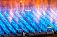 Llanwenarth gas fired boilers